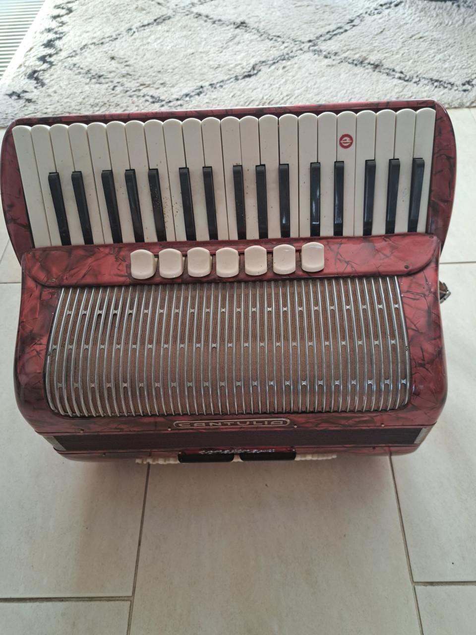 Accordion cantulia 4