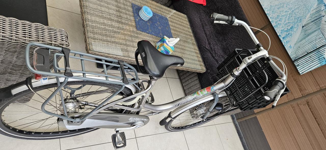 Gazelle  Bloom Damesfiets