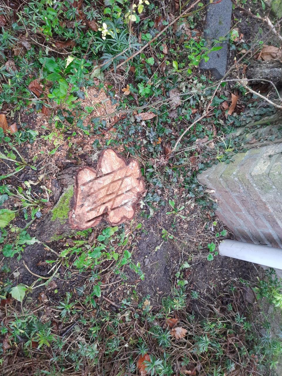 Stronken/stobben frezen in uw thuin?