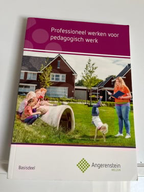 Professioneel werken voor pedagogisch werk