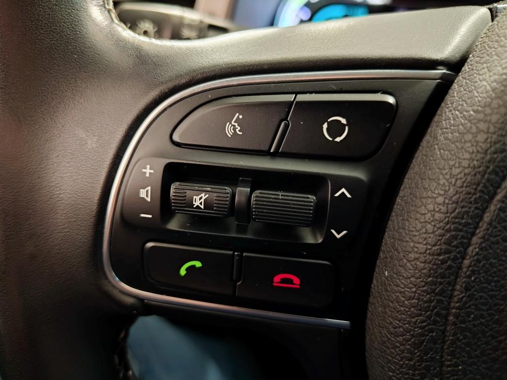 Kia Niro 1.6 gdi hybrid first edition | trekhaak
