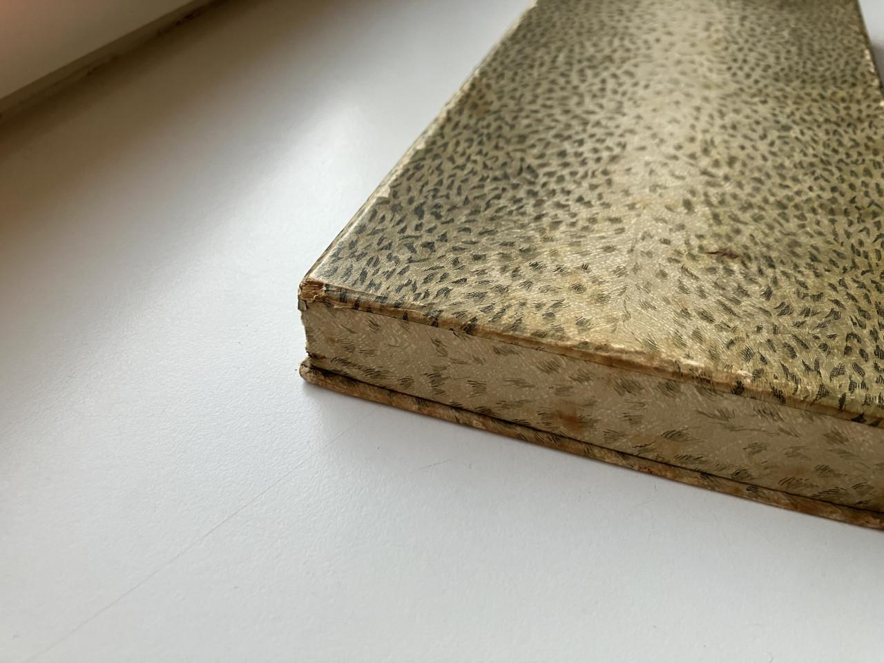 Set advocaat lepeltjes (12st)