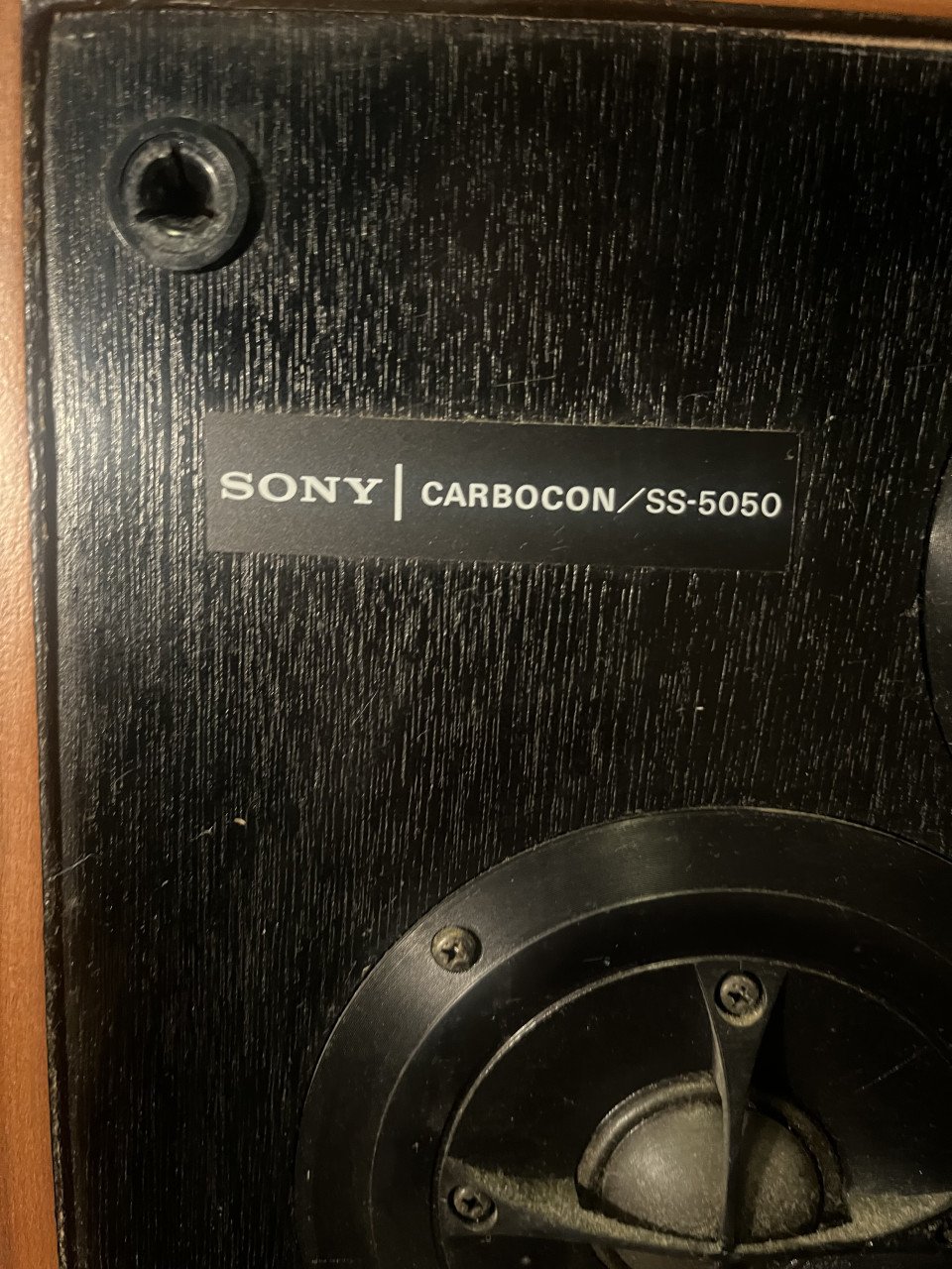 Sony Speakers + gratis versterker