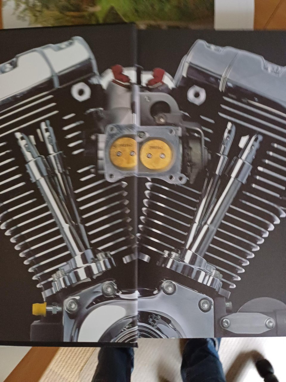 HARLEY DAVIDSON