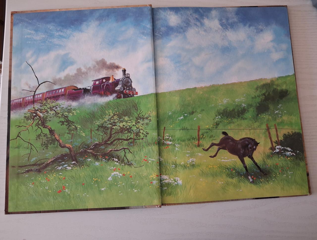 Boek Black Beauty, Anna Sewell