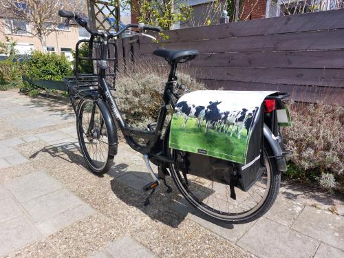 Batavus Transportfiets met lage instap