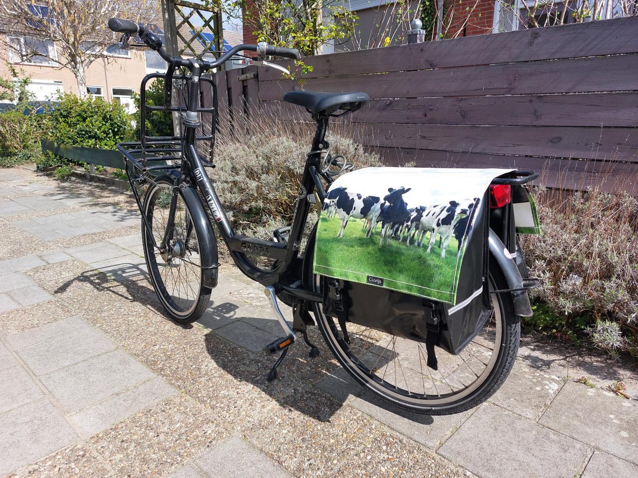 Batavus Transportfiets met lage instap