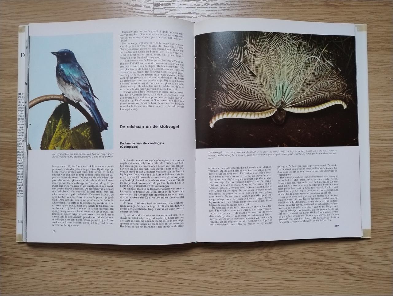 Complete 10 delige serie over de Geheimen van het Dierenrijk