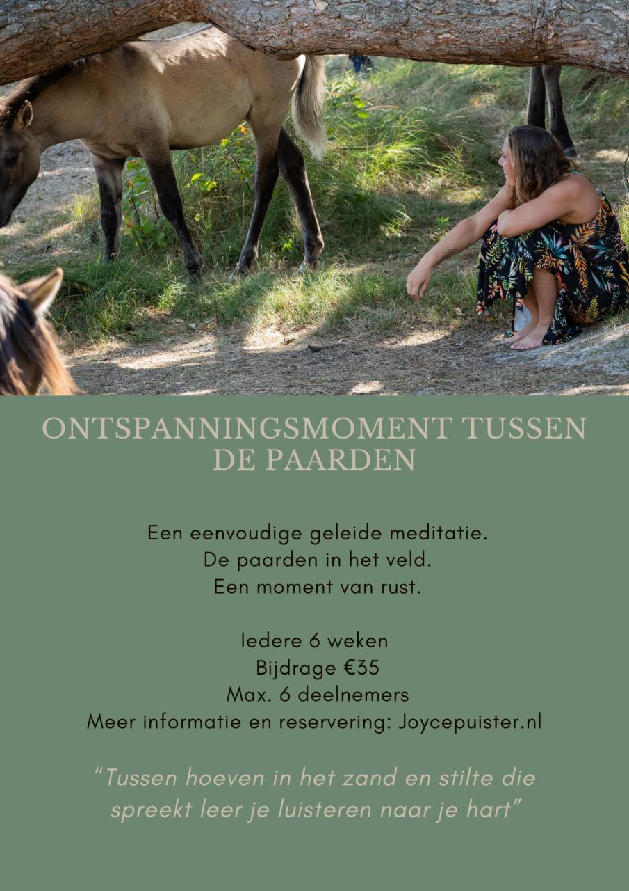 Ontspanningsmoment tussen paarden
