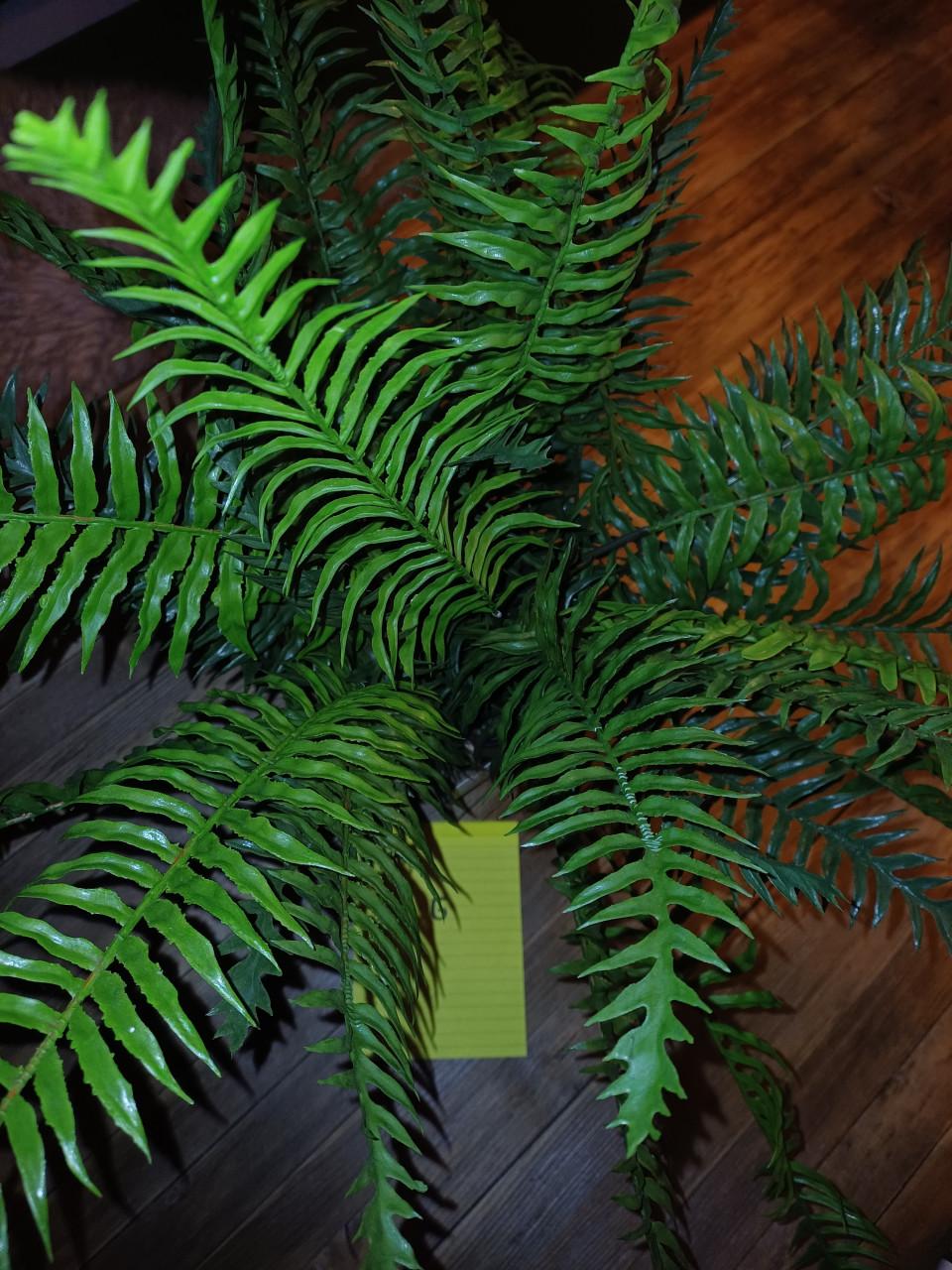 Kunstplanten