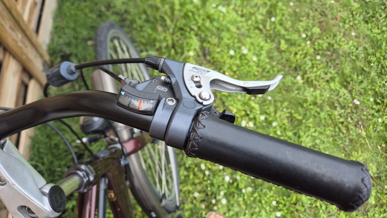 Koga Miyata traveller