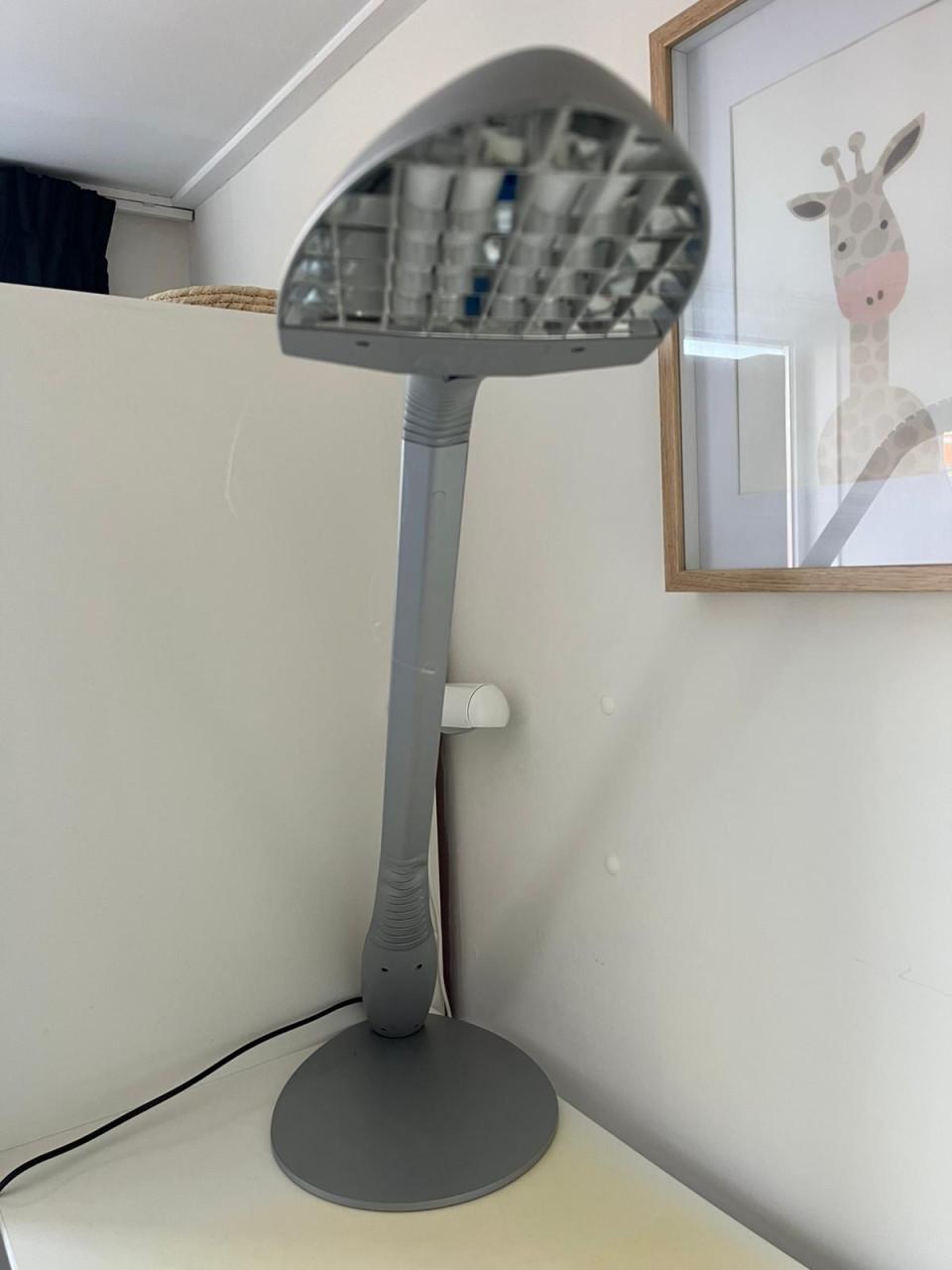 Mooie lees/ bureau lamp