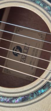 Gitaar