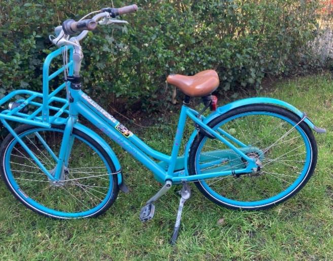 Opknapper Gazelle Miss Grace