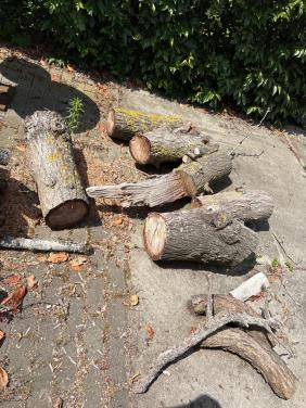 Stook hout