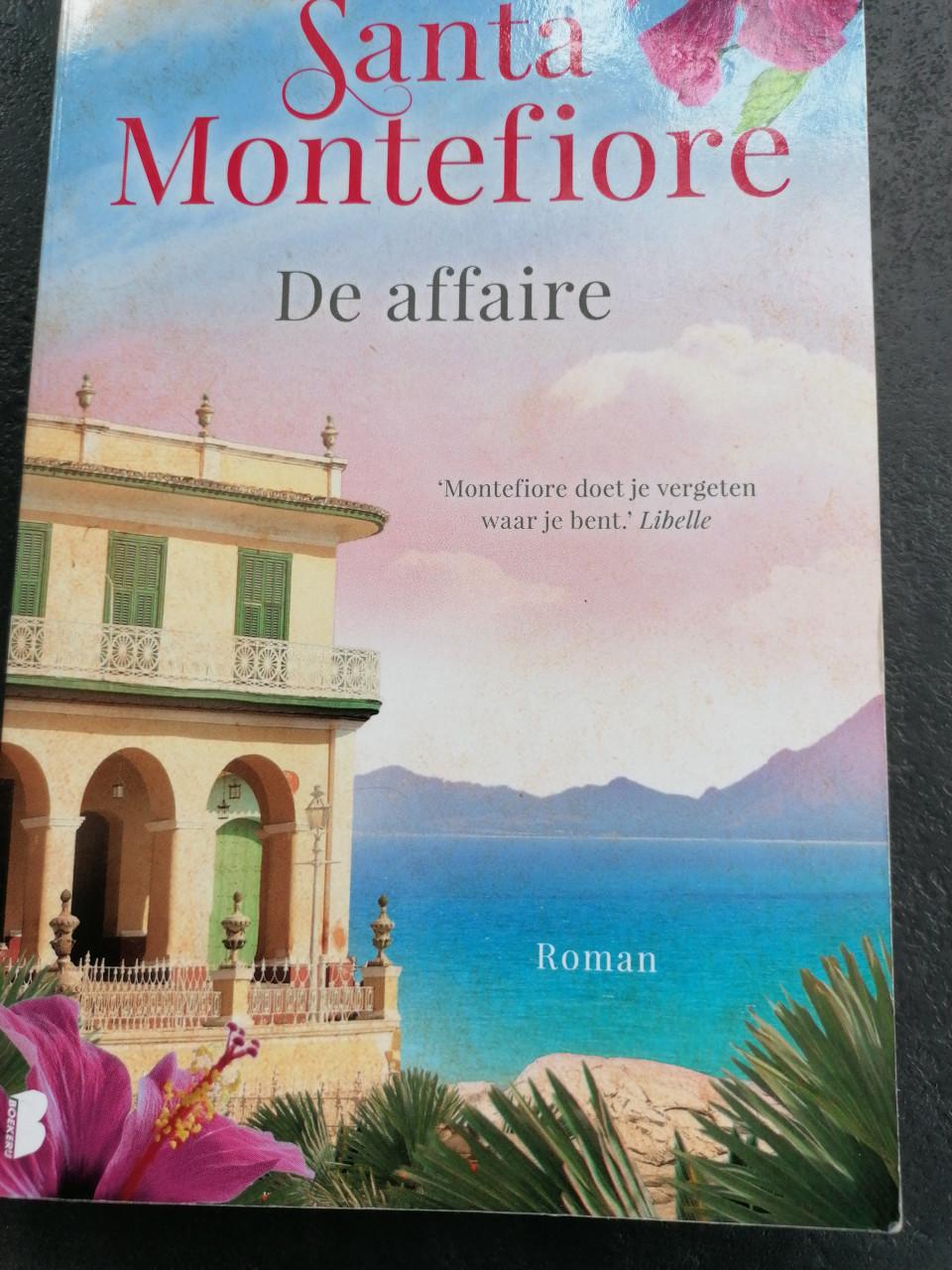 De affaire en de witte duif Santa Montefiore