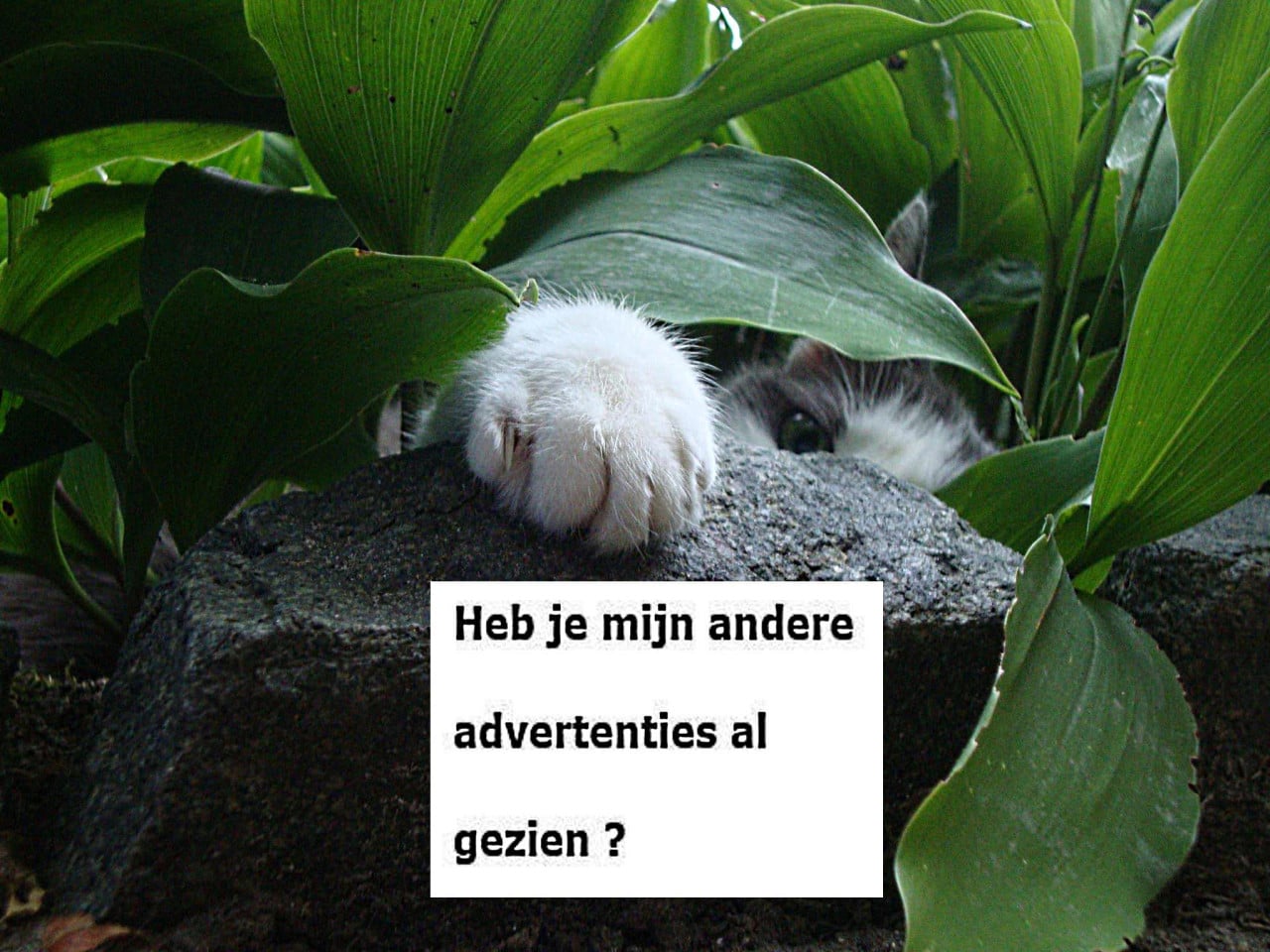 Compleet pakket voor een stapelschutting van 180x180 - Houtcomposiet