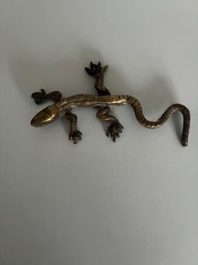 Bronzen hagedis, 11cm lang.