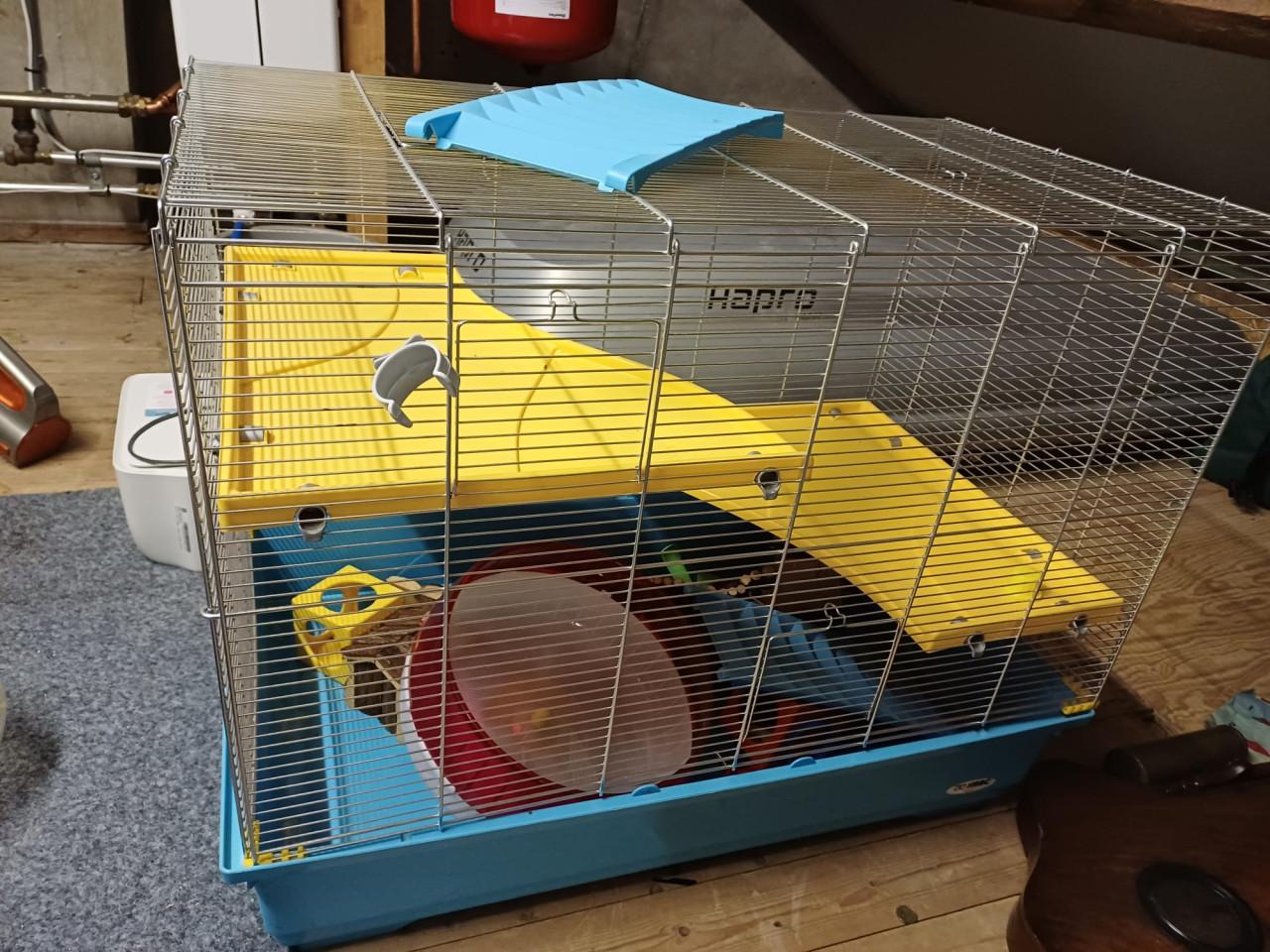 TK: grote hamsterkooi met accessoires, zgan