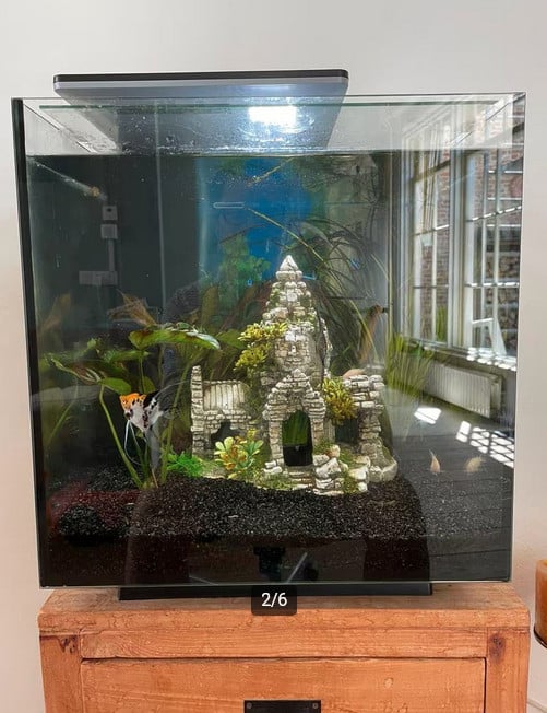 Superfish Qubiq 60 pro