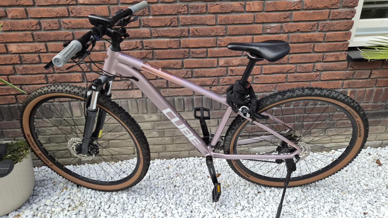 Cube Access WS Pro '23