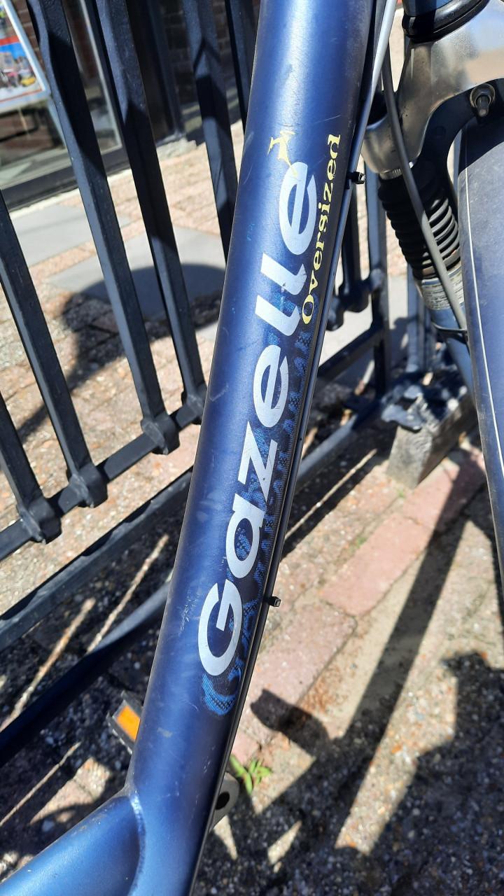 Gazelle Laguna Fiets