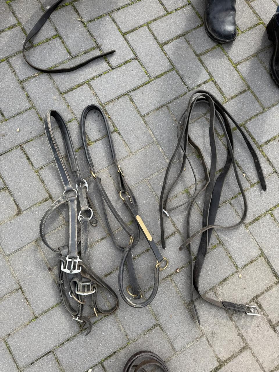 2x enkelspan ponytuig + enkel en tweespan paardentuig