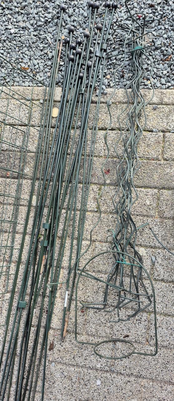 Grote bundel Pinnups plantensteunen.