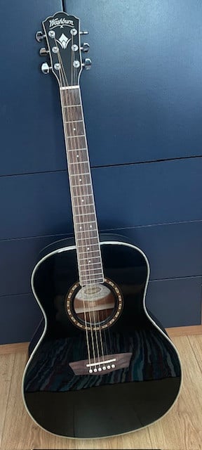 Washburn zo mooi zwart