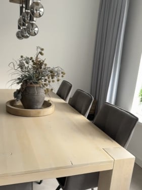 Eettafel met stoelen en salontafel
