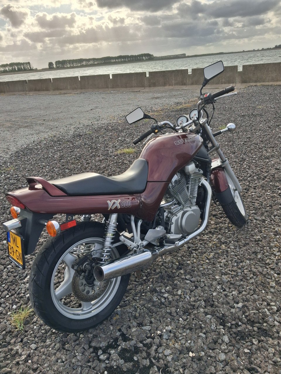 Suzuki  vx 800