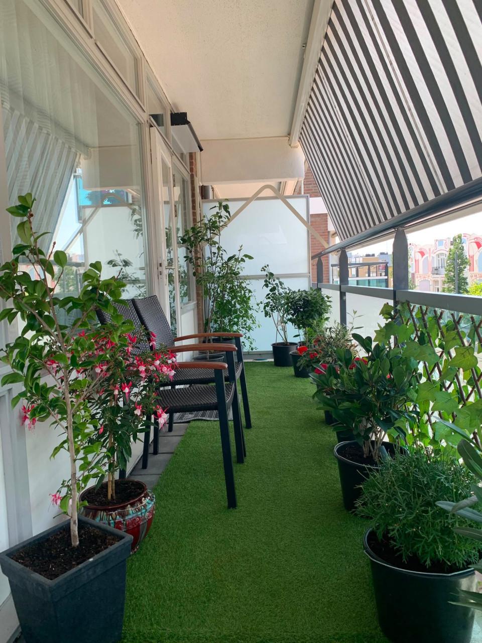 18 prachtige balkon- en tuinplanten