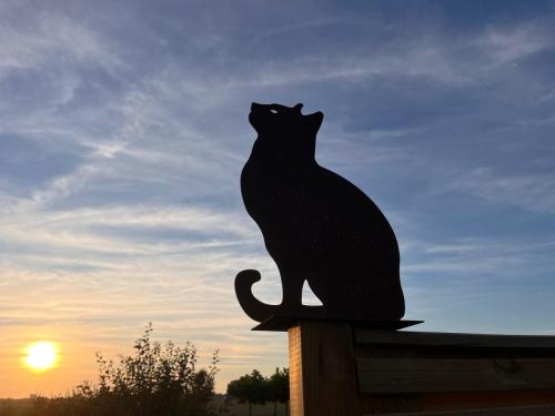 2 metalen decoratie katten voor in tuin