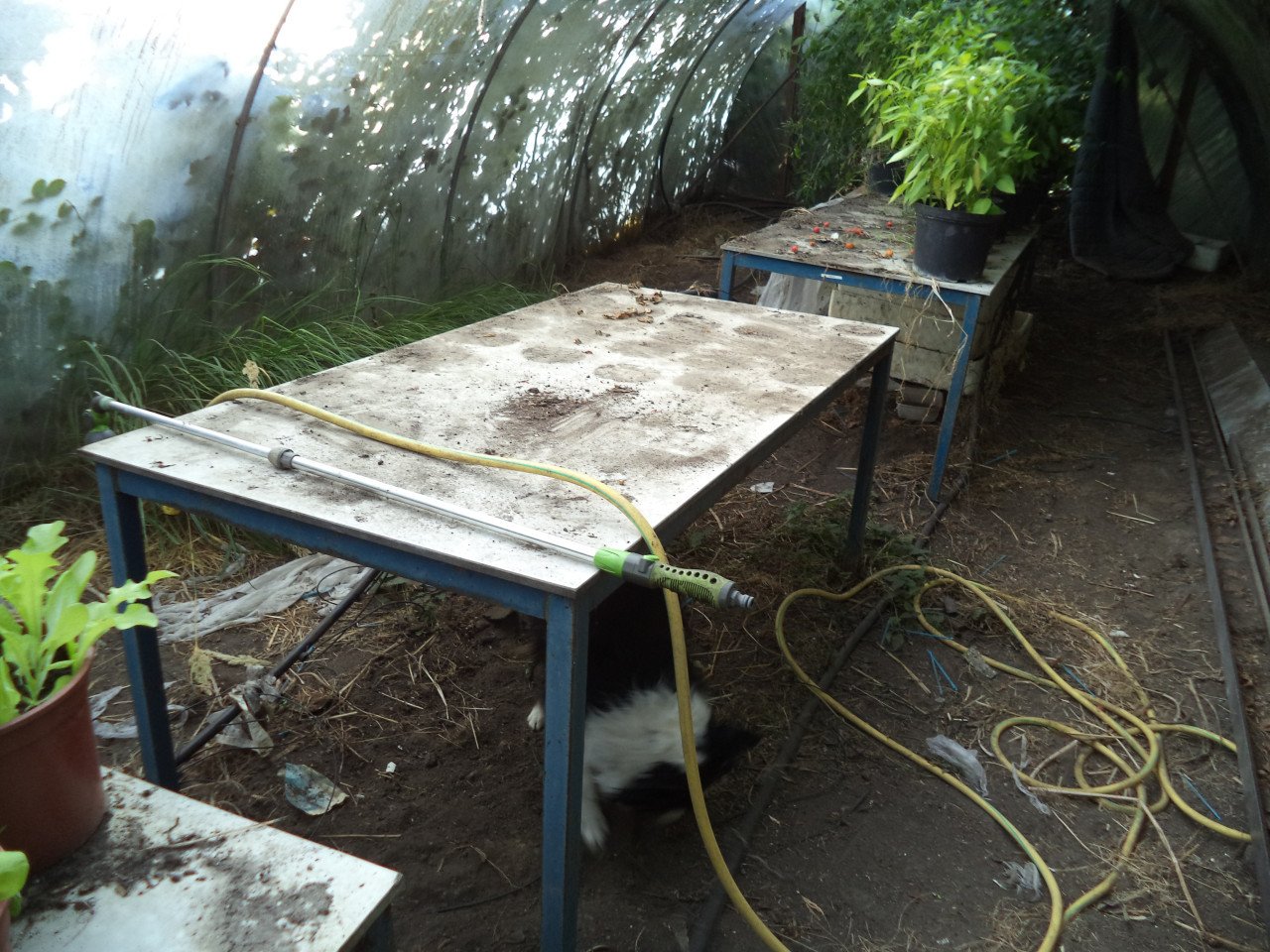 Tafels voor buiten of kas