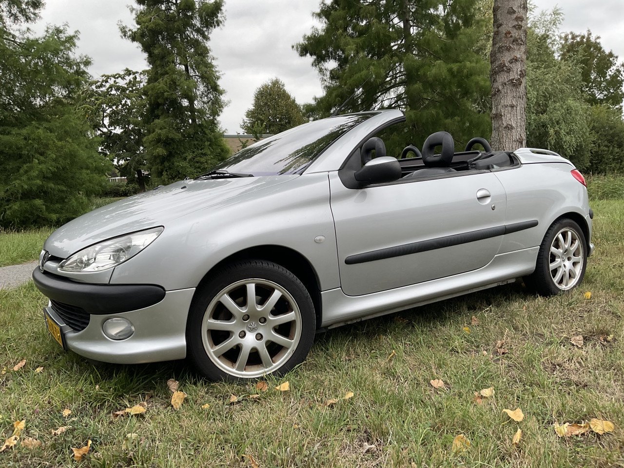 Peugeot 206 Cabrio | CC 2.0 16V