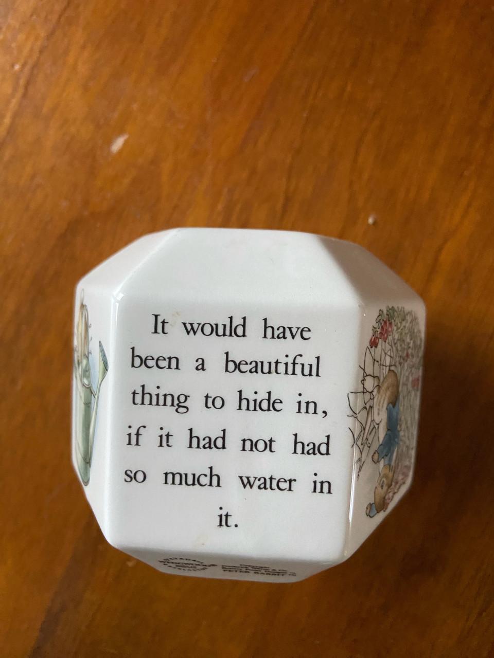 Spaarpot Wedgwood Peter Rabbit