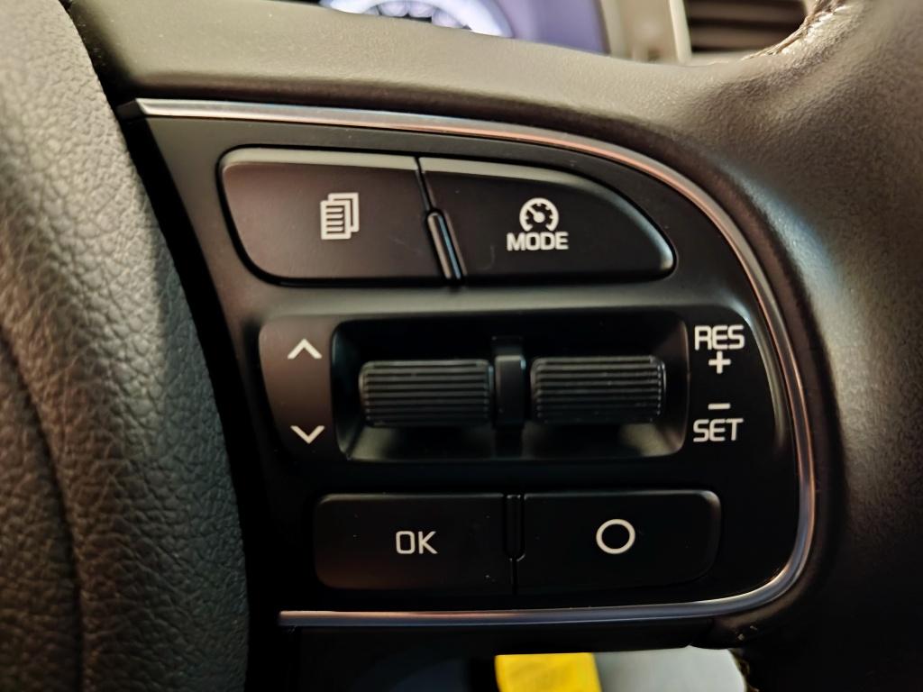Kia Niro 1.6 gdi hybrid first edition | trekhaak
