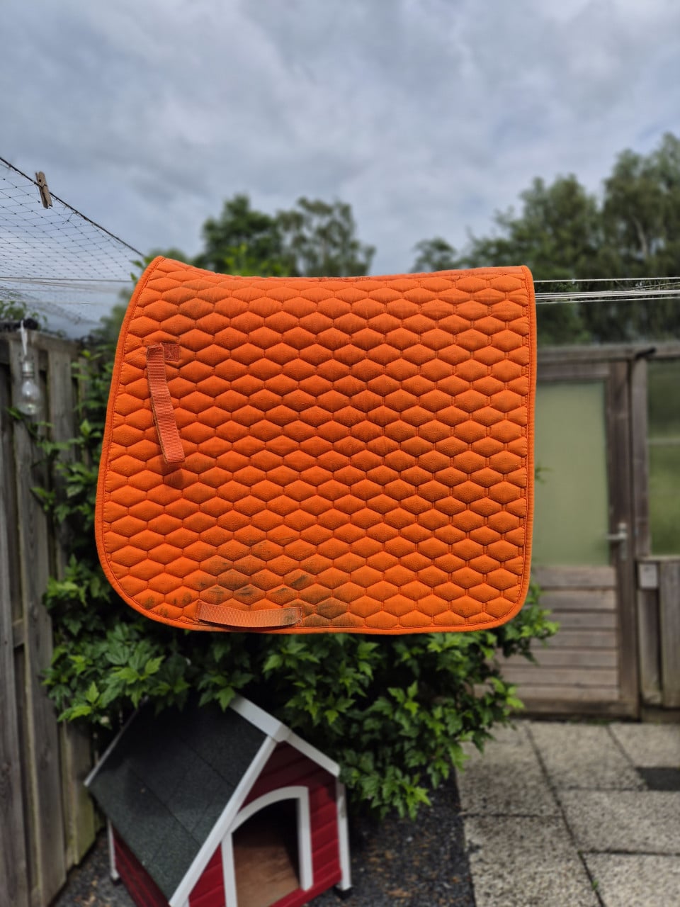 3 x dressuurdekje full