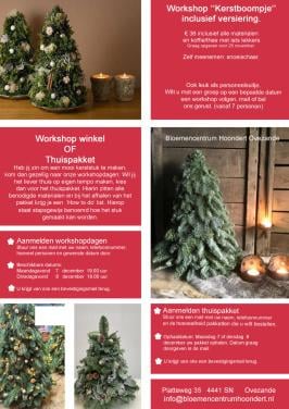 Workskop bloemschikken kerst