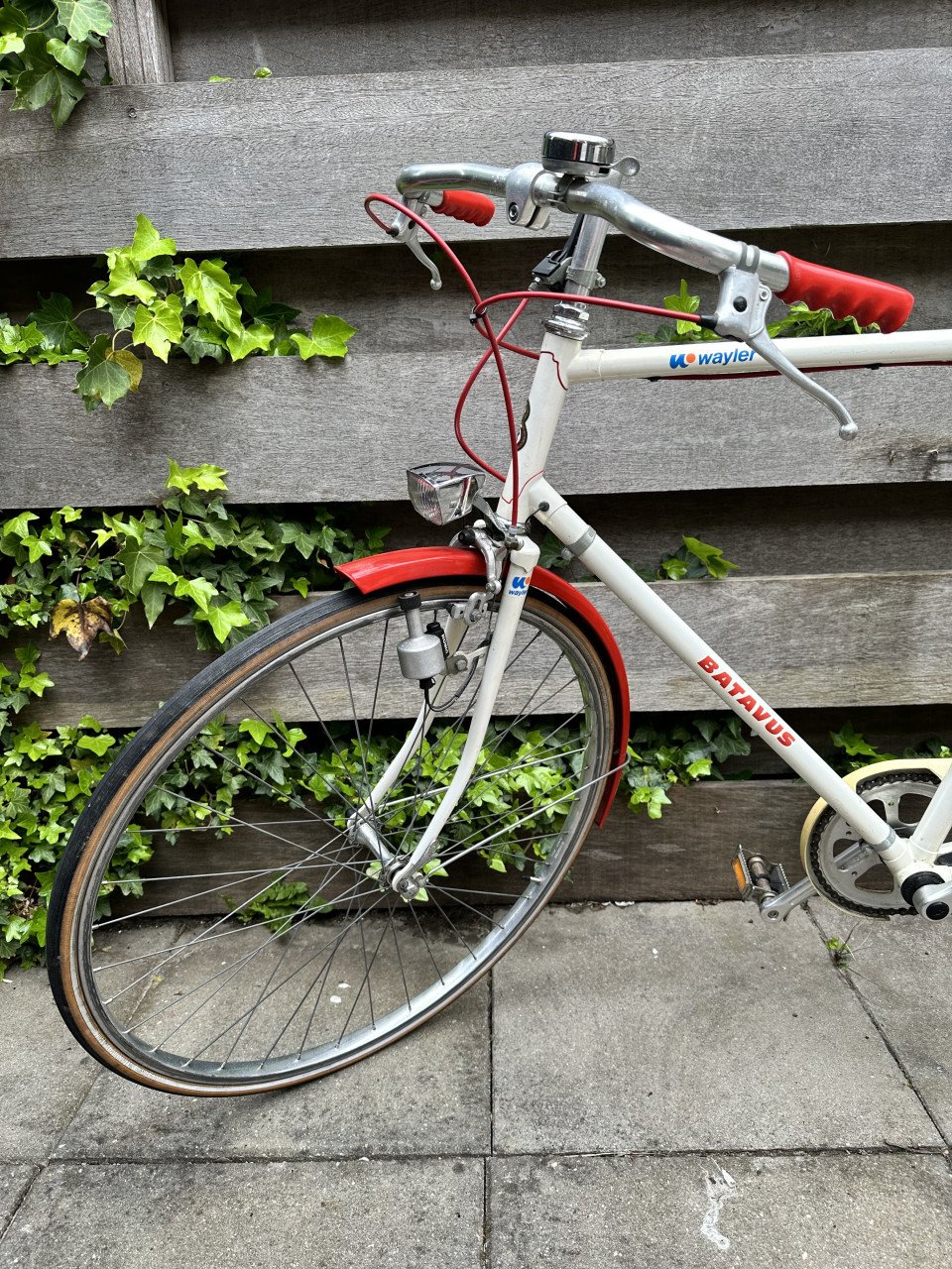 Batavus Wayler