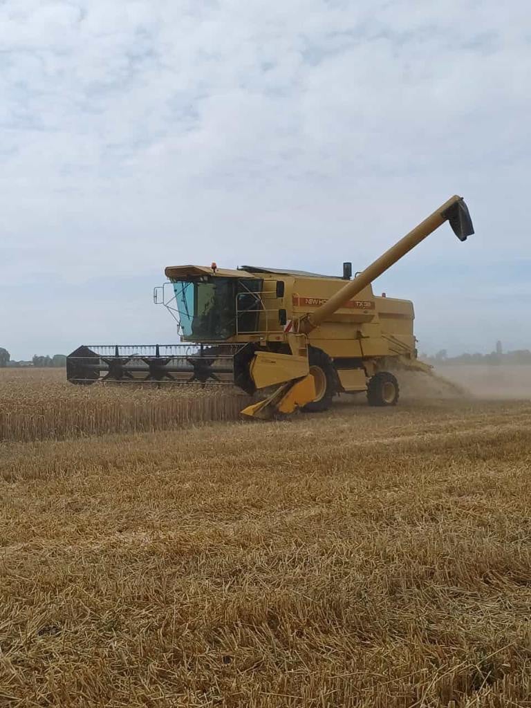 New Holland TX36 combine direct inzetbaar