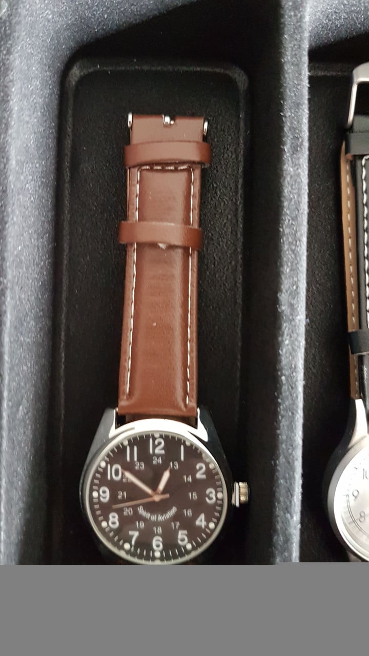 Pilot Watch Collection Atlas