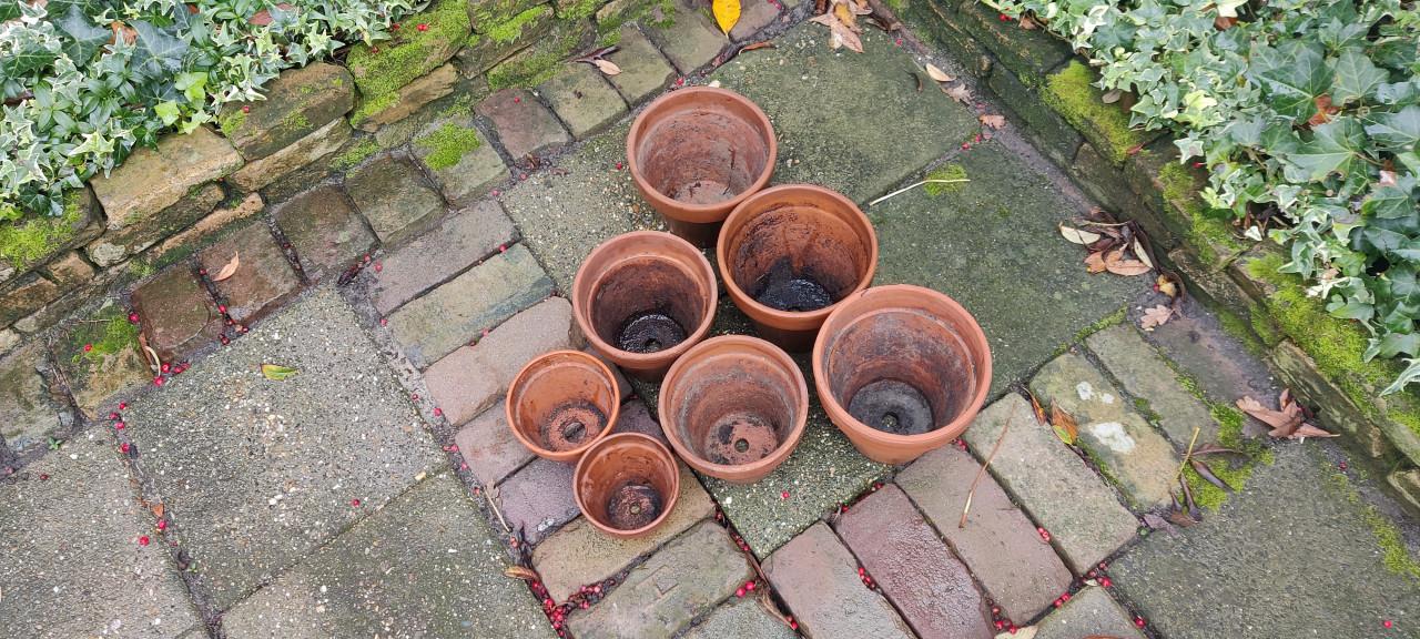 Bloempotten terracotta
