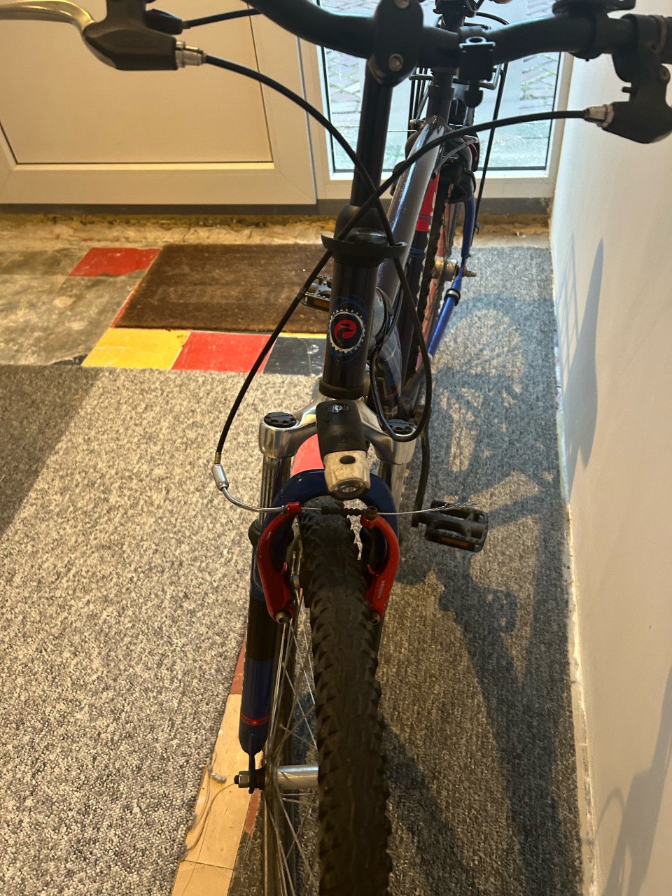 Batavus snake 26 inch