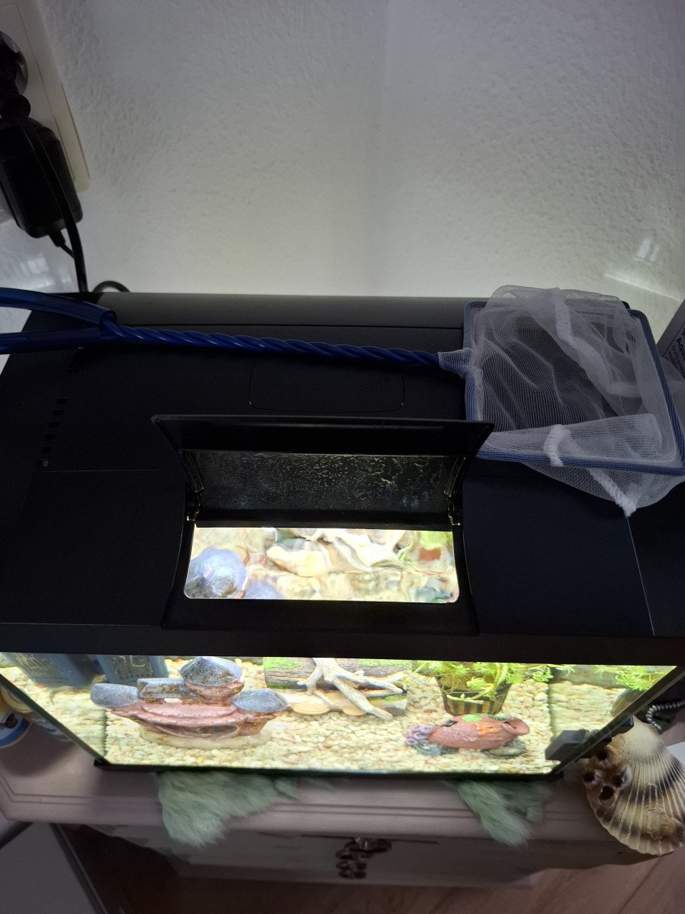Compleet aquarium met alles erop en eraan