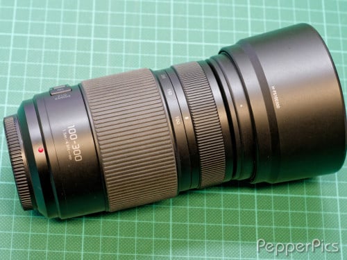 Panasonic Lumix G Vario 100-300mm f/4.0-5.6 II POWER OIS lens