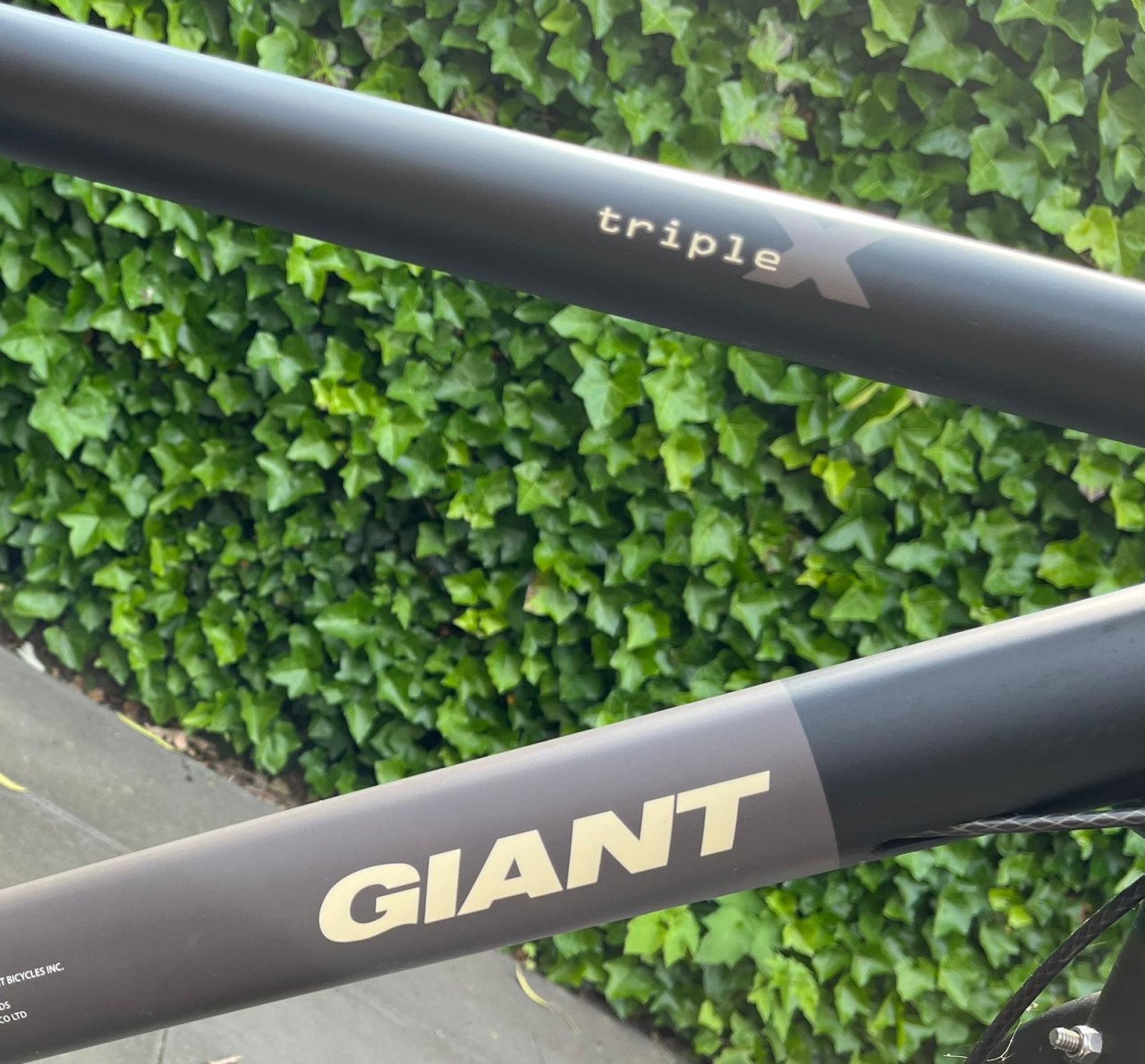 Giant Triple X CS 1 LDS (Zwart) - frame maat M - 7 versnellingen
