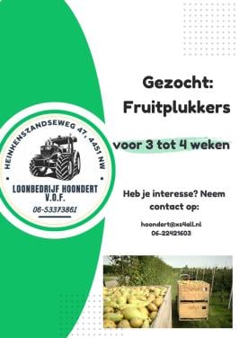 FRUITPLUKKERS GEZOCHT