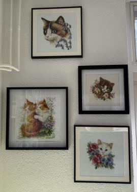 Borduur werkjes / daimantpainting ingelijst