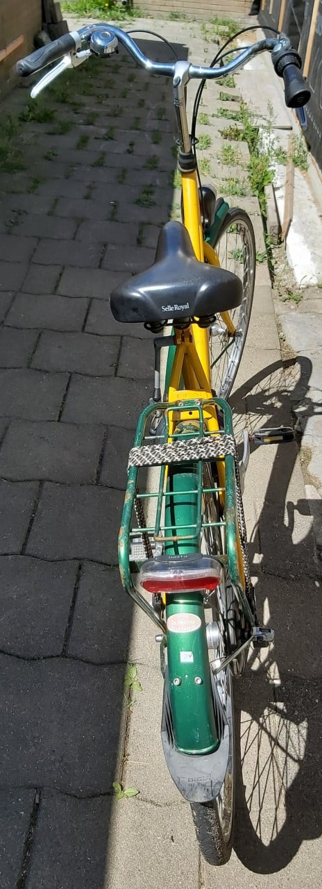 Pointer dames fiets